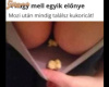 Nagy mell és popcorn