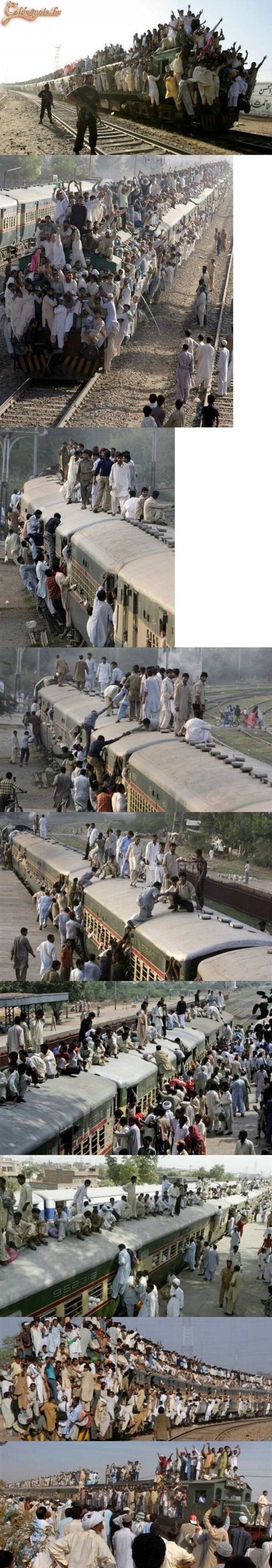 Gyere, utazz velünk!