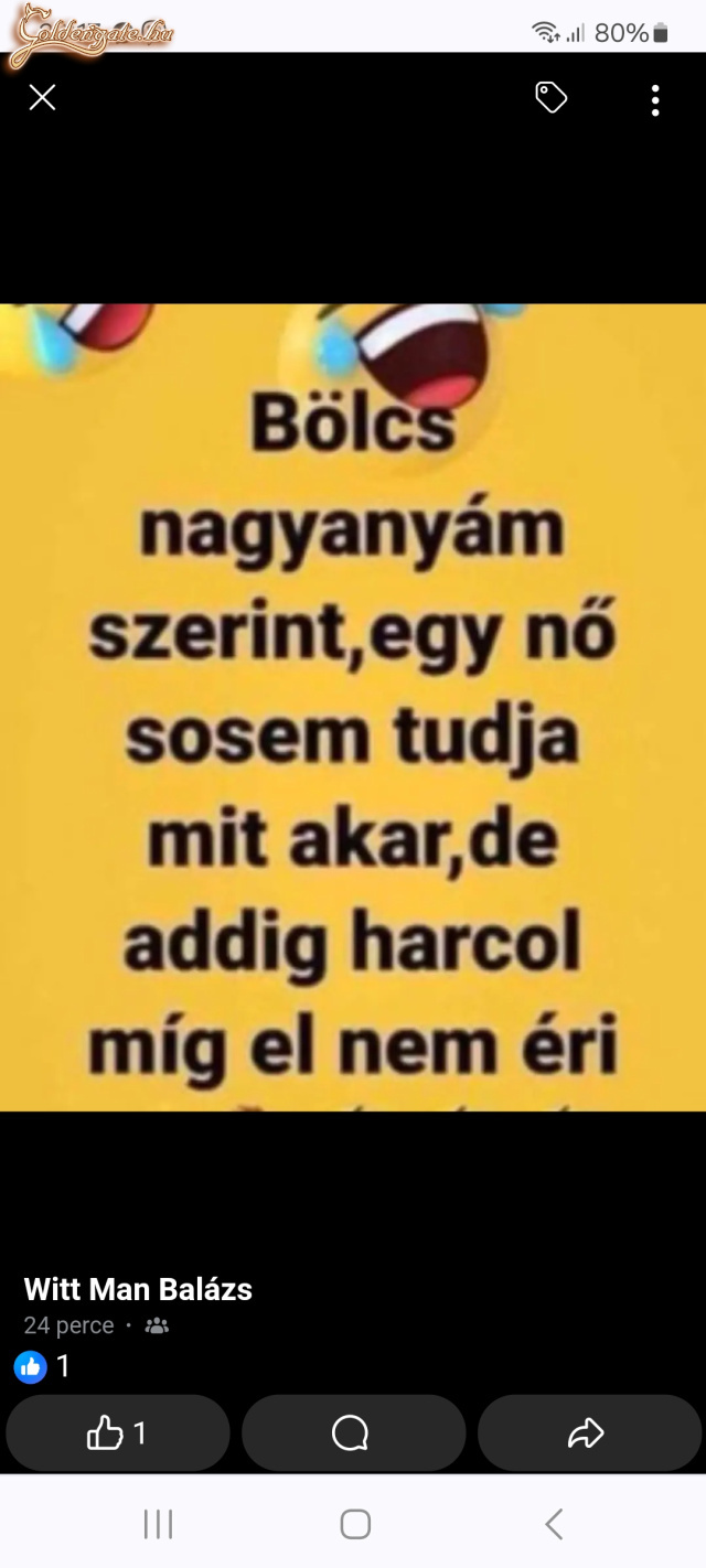 A problémák gyökere