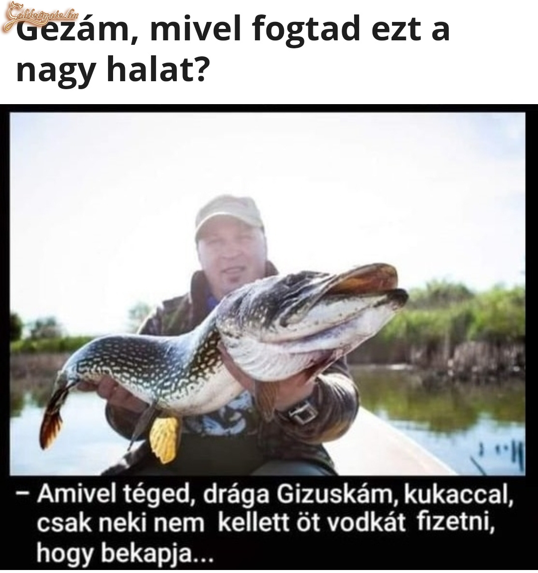 A hal vodka nélkül is bekapja