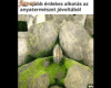 Lovagló természet