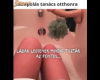 A műfasz akasztónak is jó
