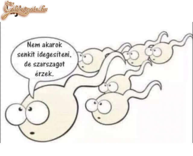 Szar ügy