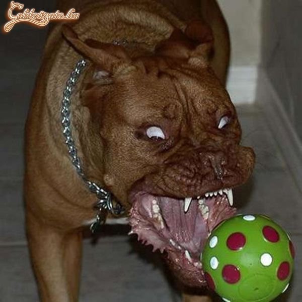 Hammmm!