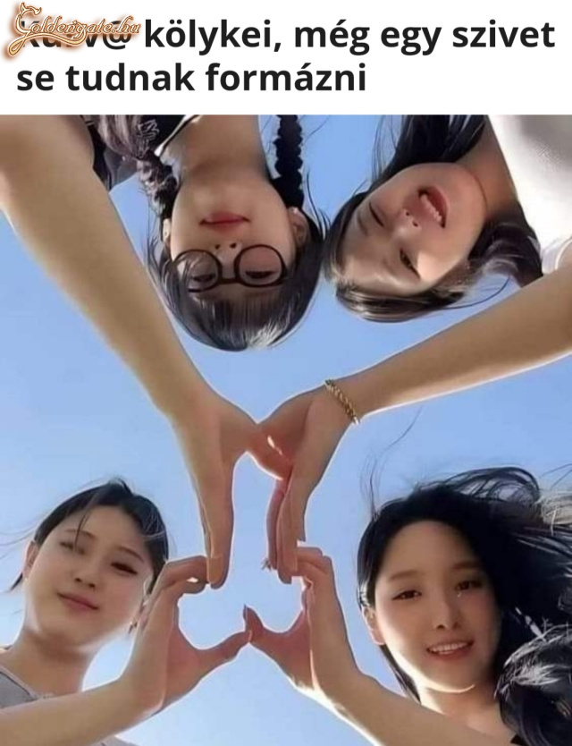 Már a faszon jár az eszük