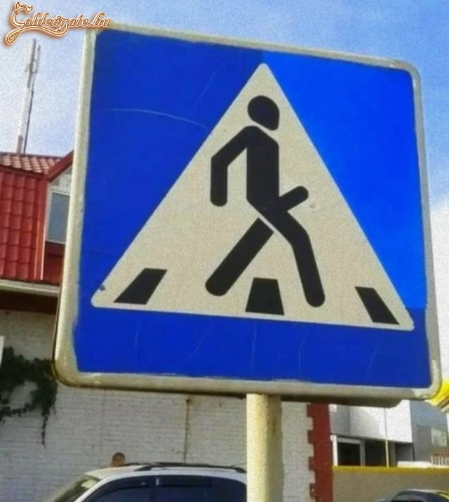 Álló faszúak zebrája
