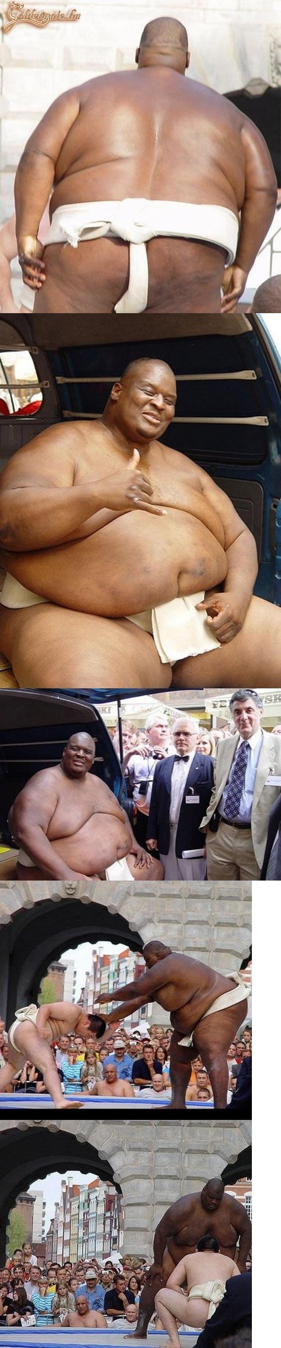 A szumó már Afrikában is terjedőben...