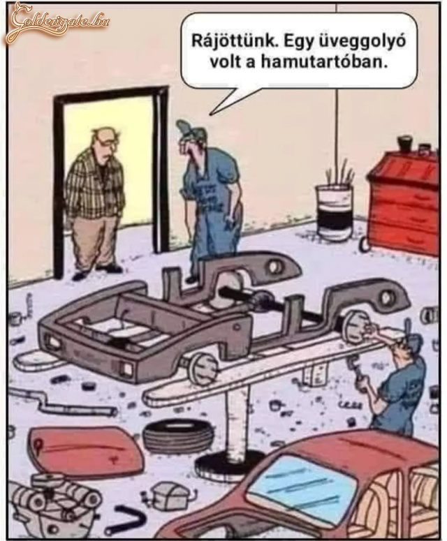 Jó szakik!