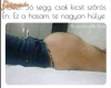 A látszat csal