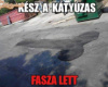 Lyuktalanítás