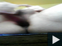 Seggbe 2
