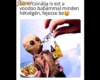Kényszer alatt!
