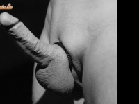 Vegyes B&W