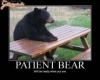 Türelmes medve
