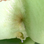 Analitika - 1. kép