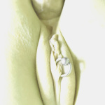 Analitika - 4. kép