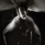 Parom es en - 18. kép