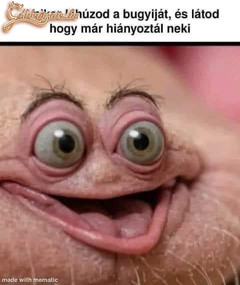 Amikor az igazságok képben megérnek