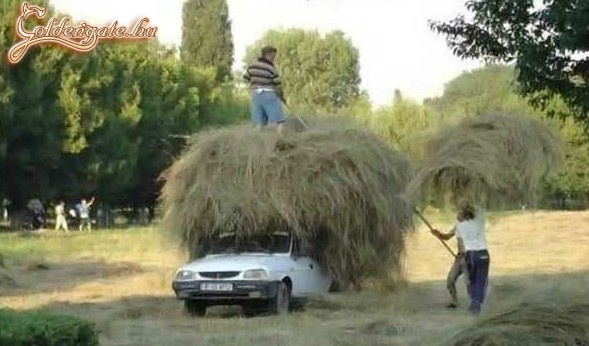 Oda hátra fér még egy pár villával..