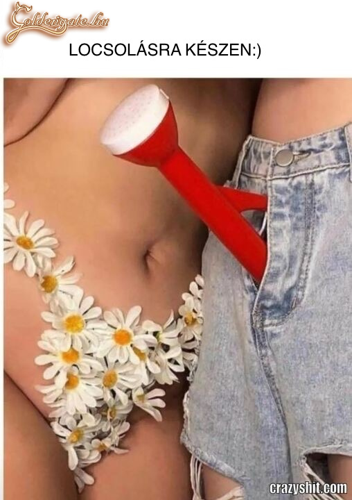 LOCSOLÁS ÚJRAGONDOLVA.