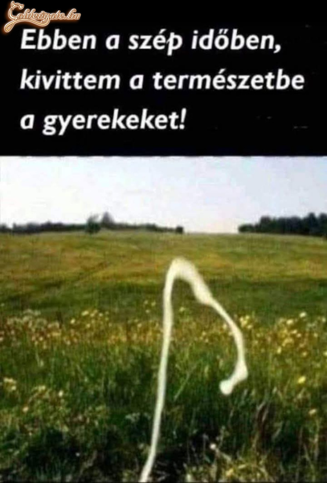 Itt a tavasz 
