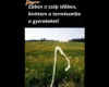 Itt a tavasz 