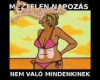 Nyár