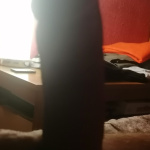 Pár kép...  - 4. kép