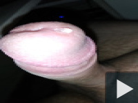 Álló