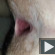 Egy kis anal