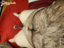 Vegyes 1. - 8. kép