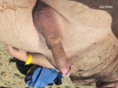 Duna parti nudi - 8. kép