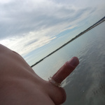 Reggel Gárdonyba - 2. kép