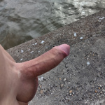 Reggel Gárdonyba - 8. kép