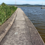 Reggel Gárdonyba - 10. kép