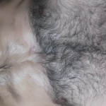  csak csajoknak!!! - 1. kép