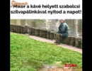 Amukor beüt a cucc