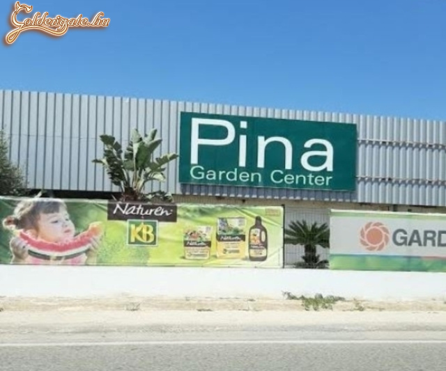 Pina bolt