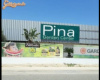 Pina bolt