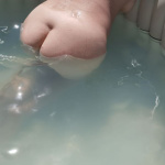 Első nyári képek - 8. kép