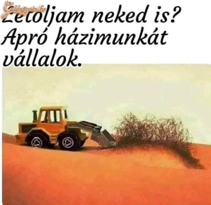 Fizetés természetbe!