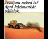Fizetés természetbe!