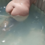 Újabb nyári képek - 4. kép