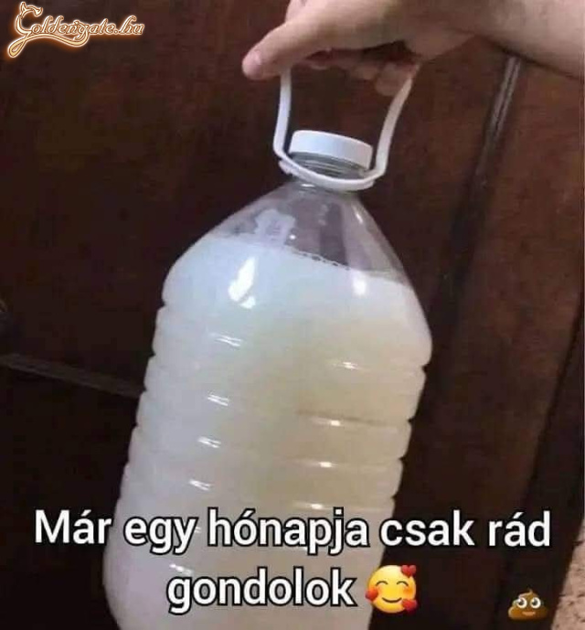 Szép vallomás!