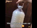 Szép vallomás!