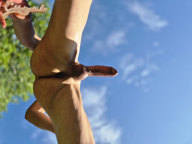 Kerti fa szállítás :) - 17. kép