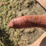 Kerti fa szállítás :) - 14. kép