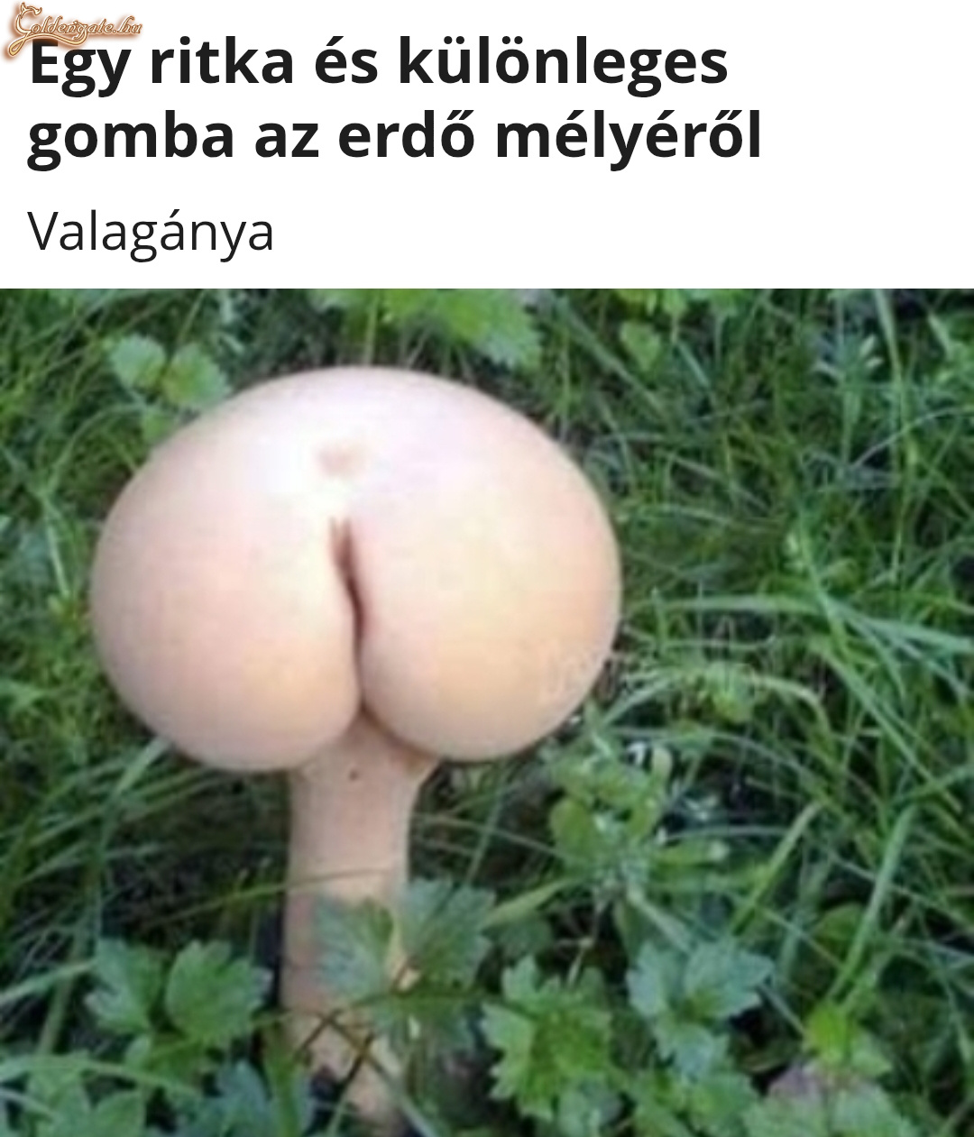 Valagánya