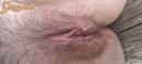 Tribute - 4. kép