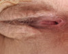 Tribute 3